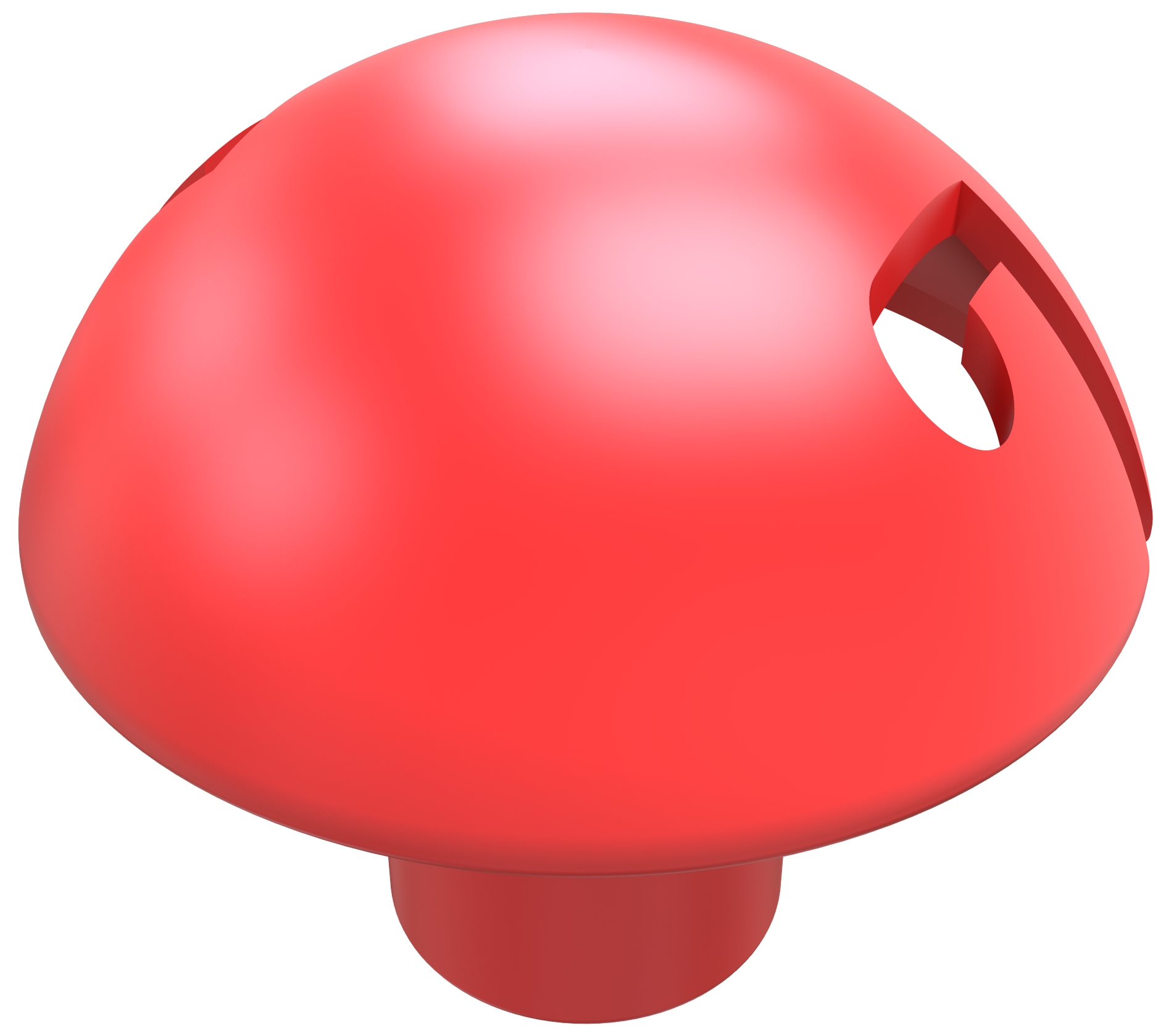 Pilzschlagschutz für Schnurpfähle