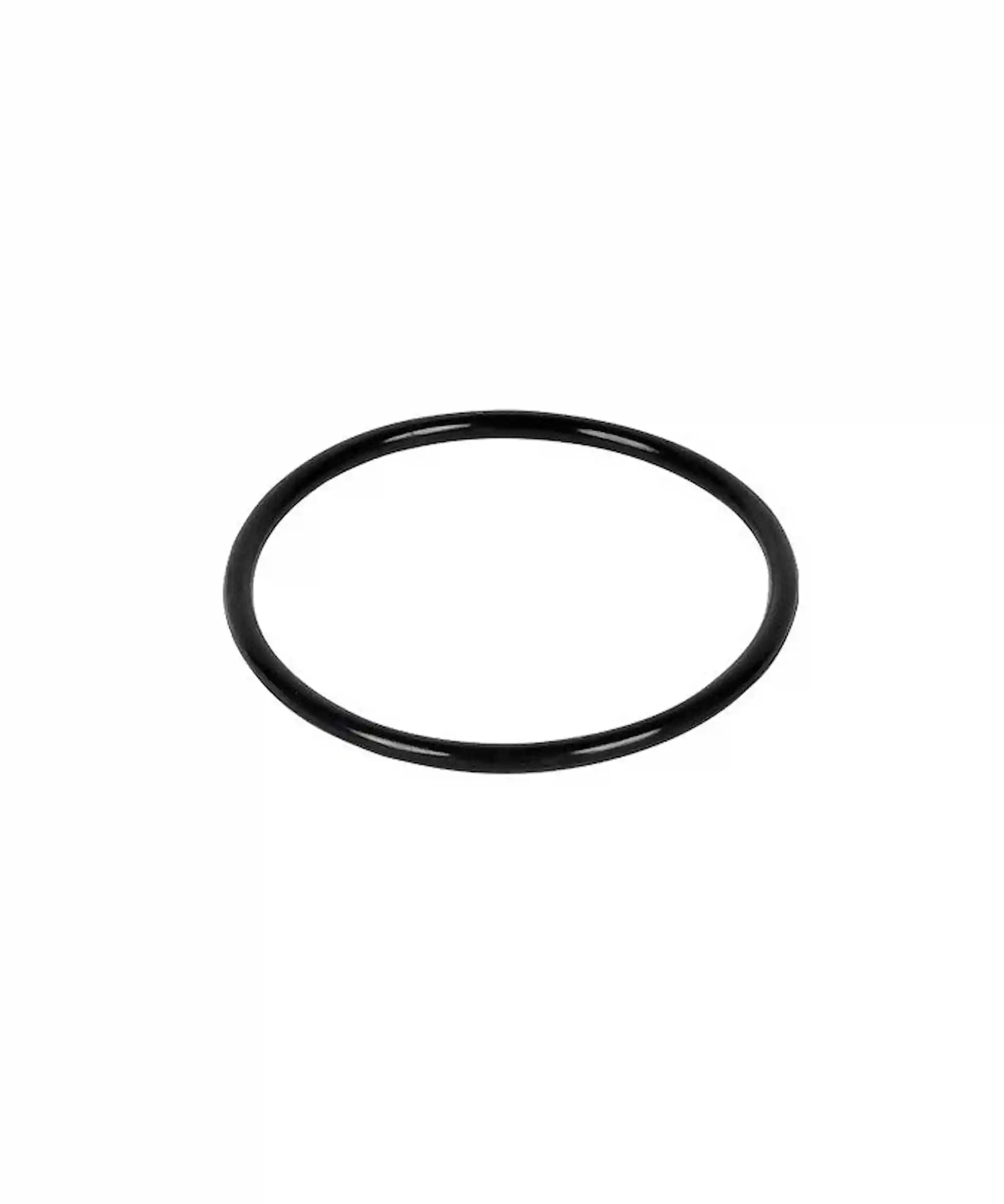 Dichtungsring (einzeln) für Abdeck-Kappe Bodenhülse