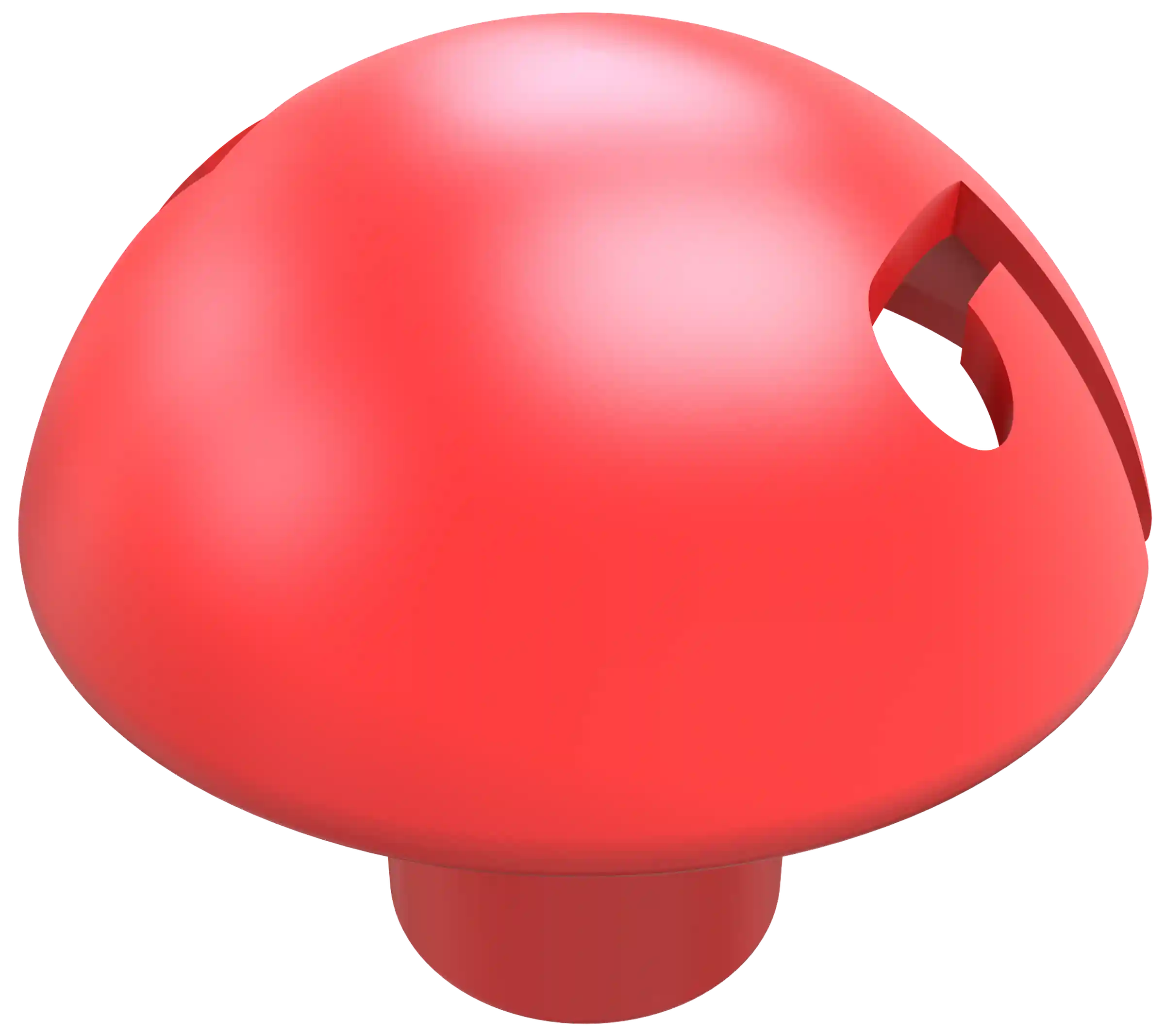 Pilzschlagschutz für Schnurpfähle