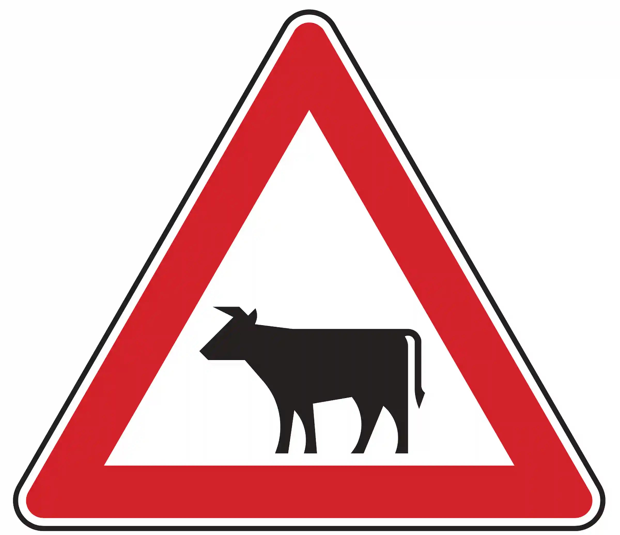 Verkehrszeichen 101-12 – Viehbetrieb (Warnschild, Aufstellung rechts)