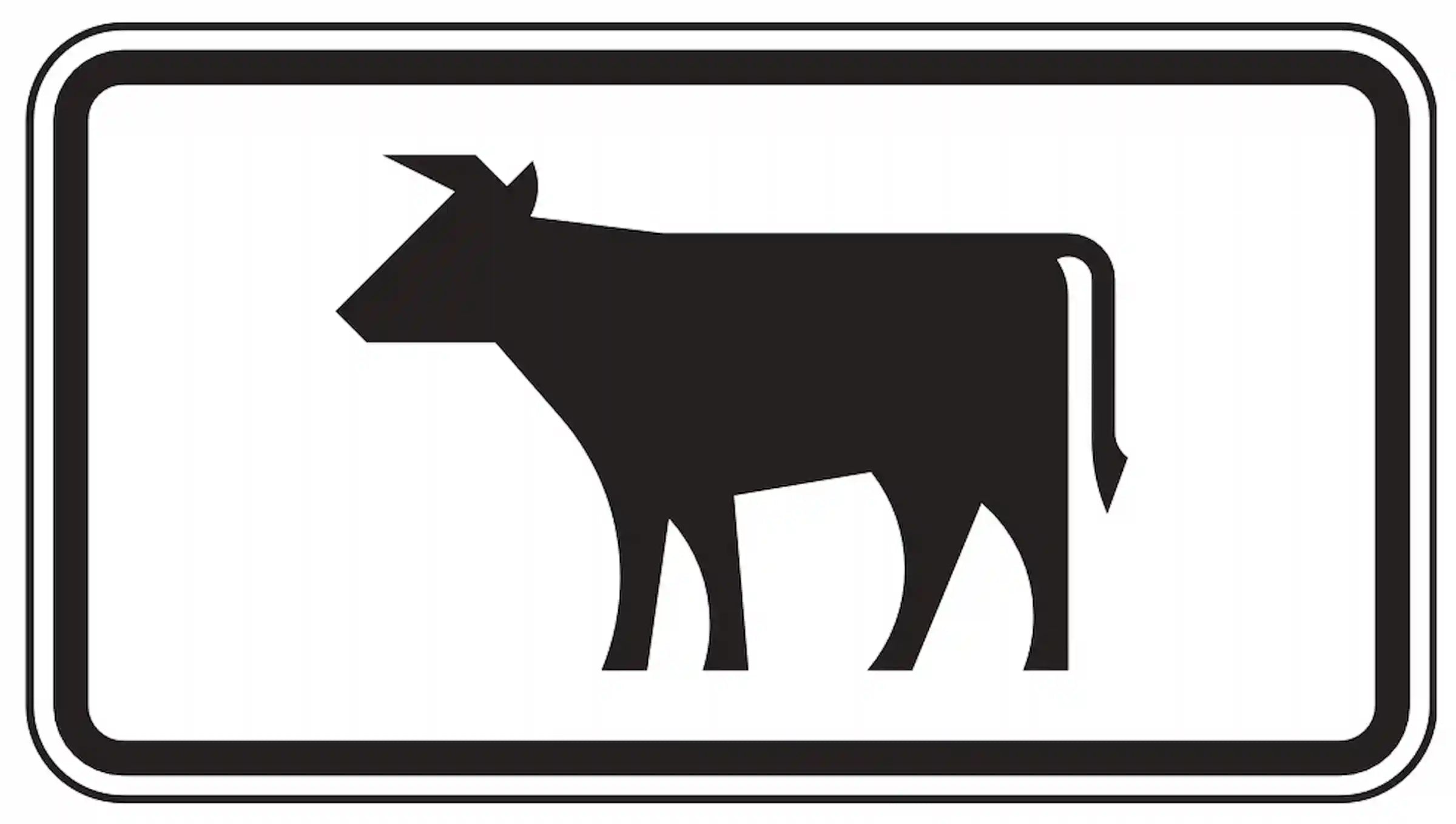 Zusatzzeichen: Viehtrieb möglich.