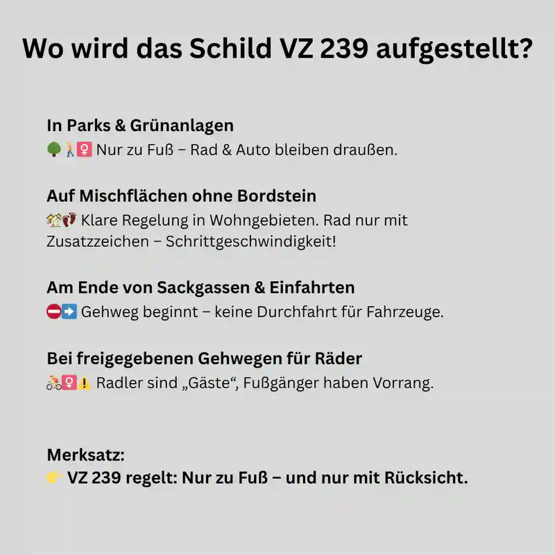 Verkehrszeichen "Gehweg" - VZ 239
